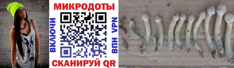 Купить  Сальск  Галлюциногенные грибы прущие грибы 